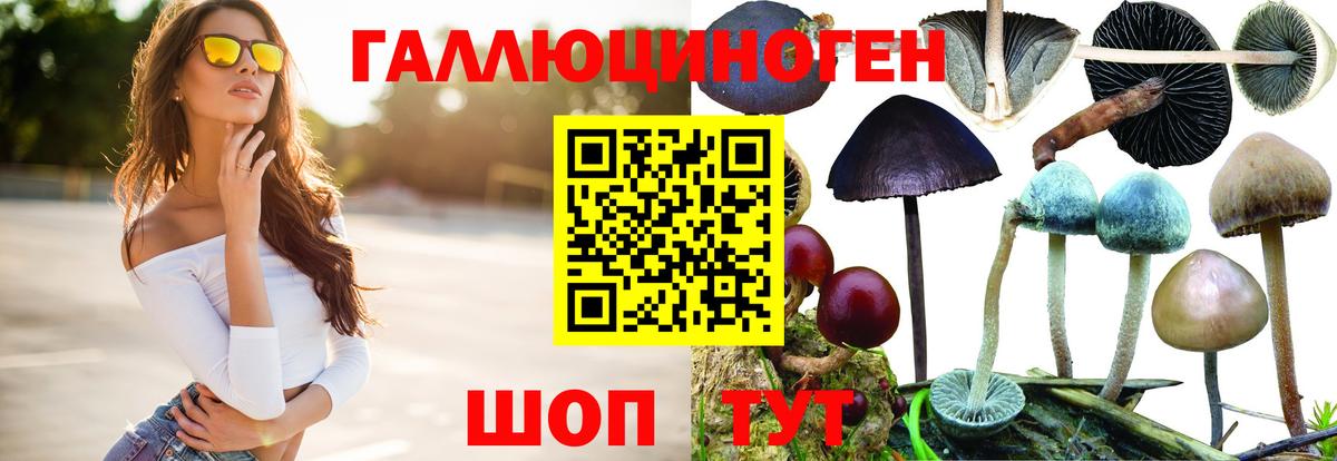 Ступино  Псилоцибиновые грибы мухоморы  Вход с VPN 